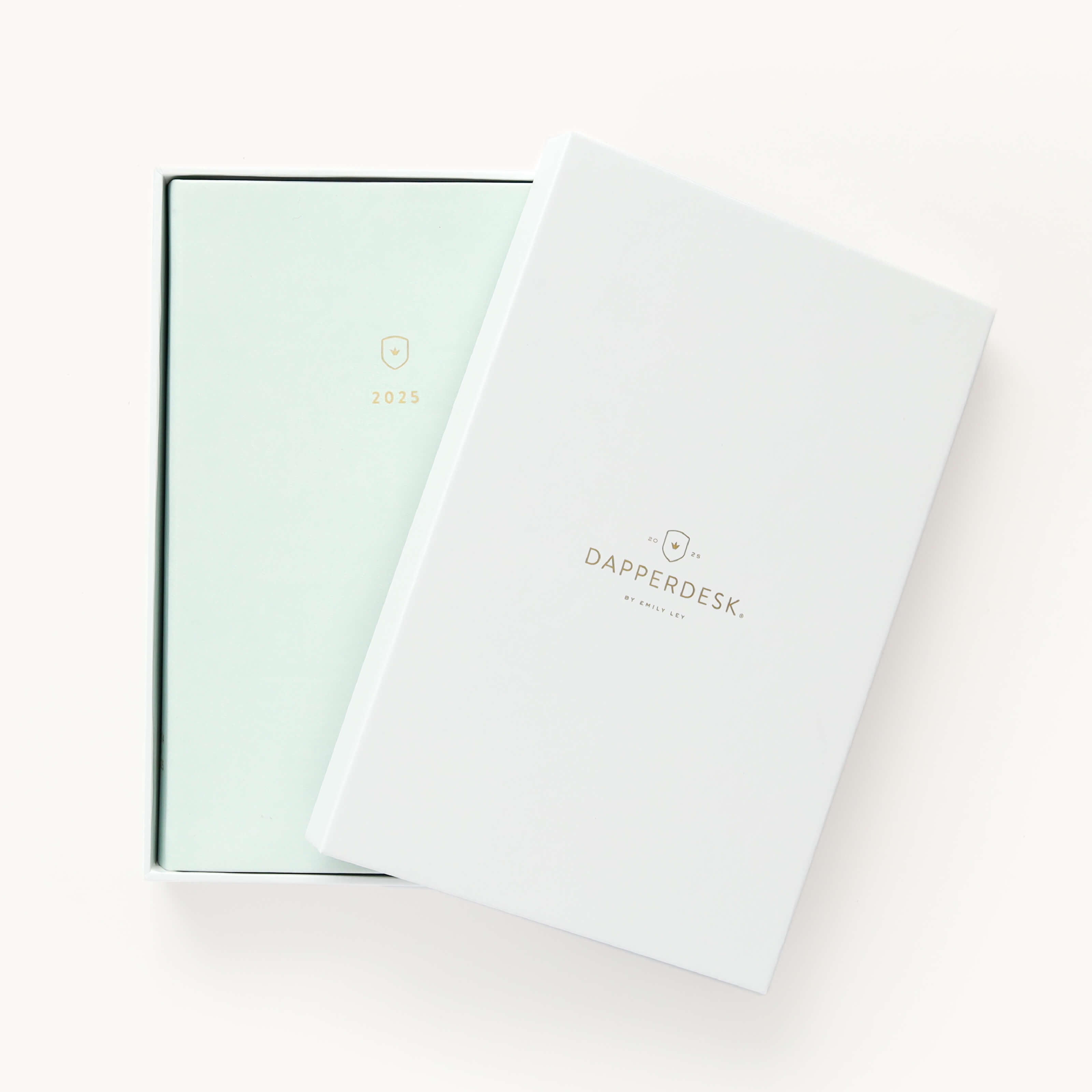 2025 Calendar Year Daily Dapperdesk Planner by Emily Ley featuring the Sea Salt leatherette cover, placed inside a beautiful keepsake box with gold foil detailing designed for stylish storage.