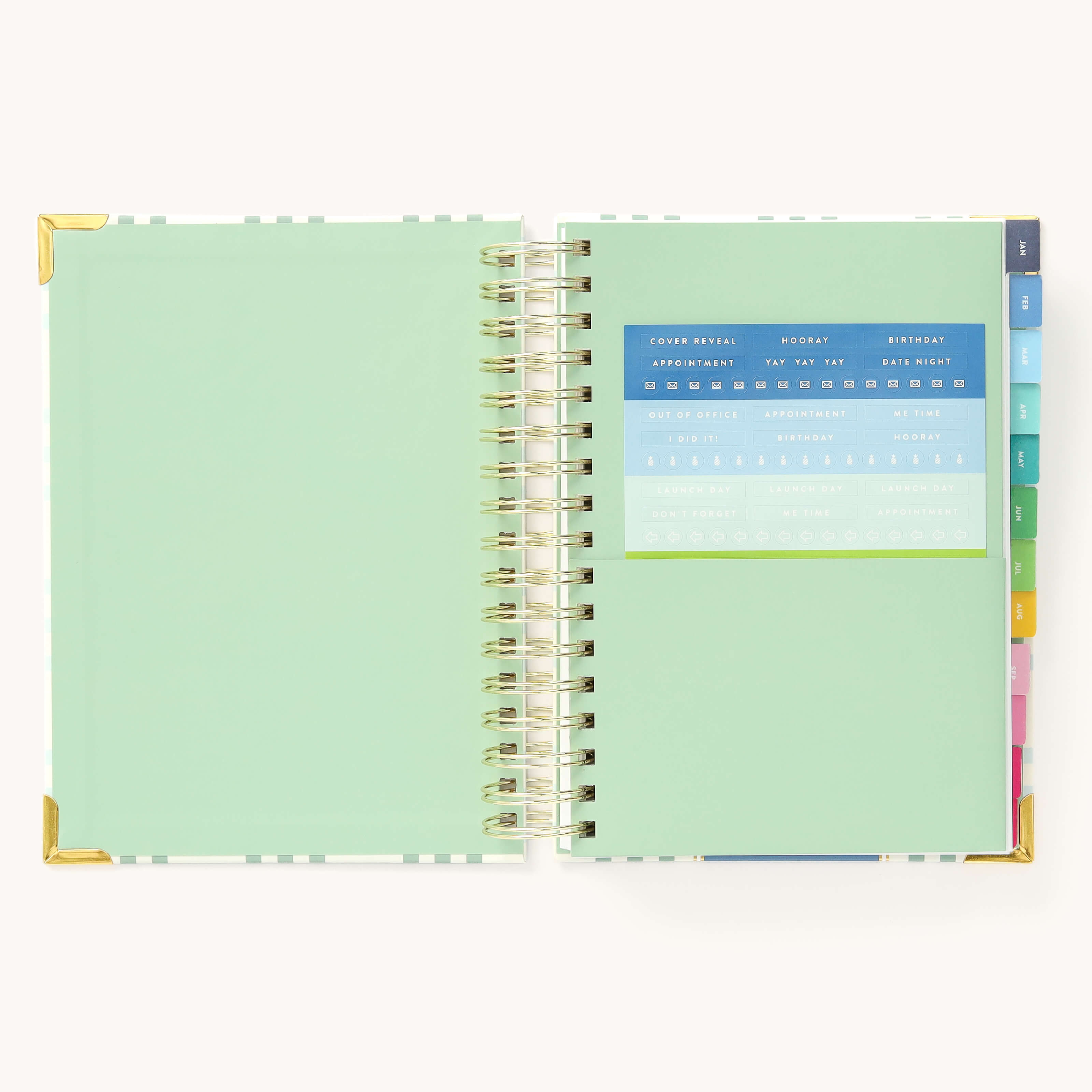 Colorful sticker sheet included in the inner pocket with the 2025 Calendar Year Daily Simplified Planner by Emily Ley in the Pistachio Plaid cover design for customization.