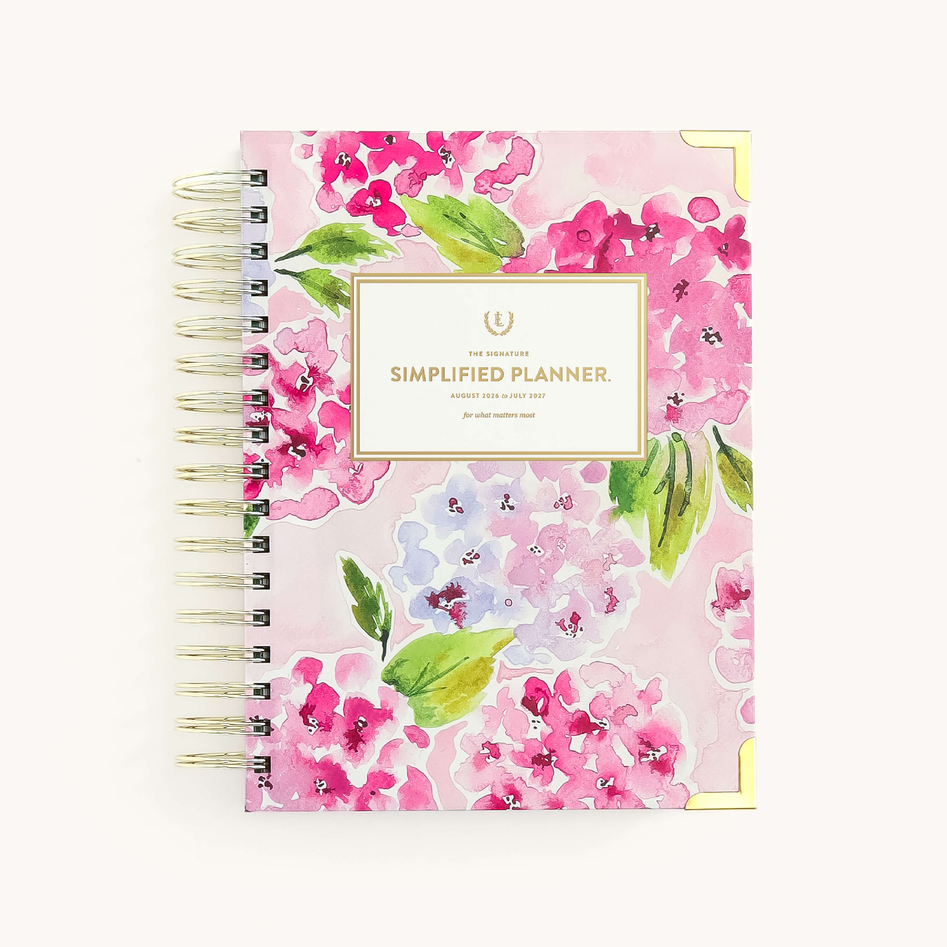 Blush Hydrangea – Simplified