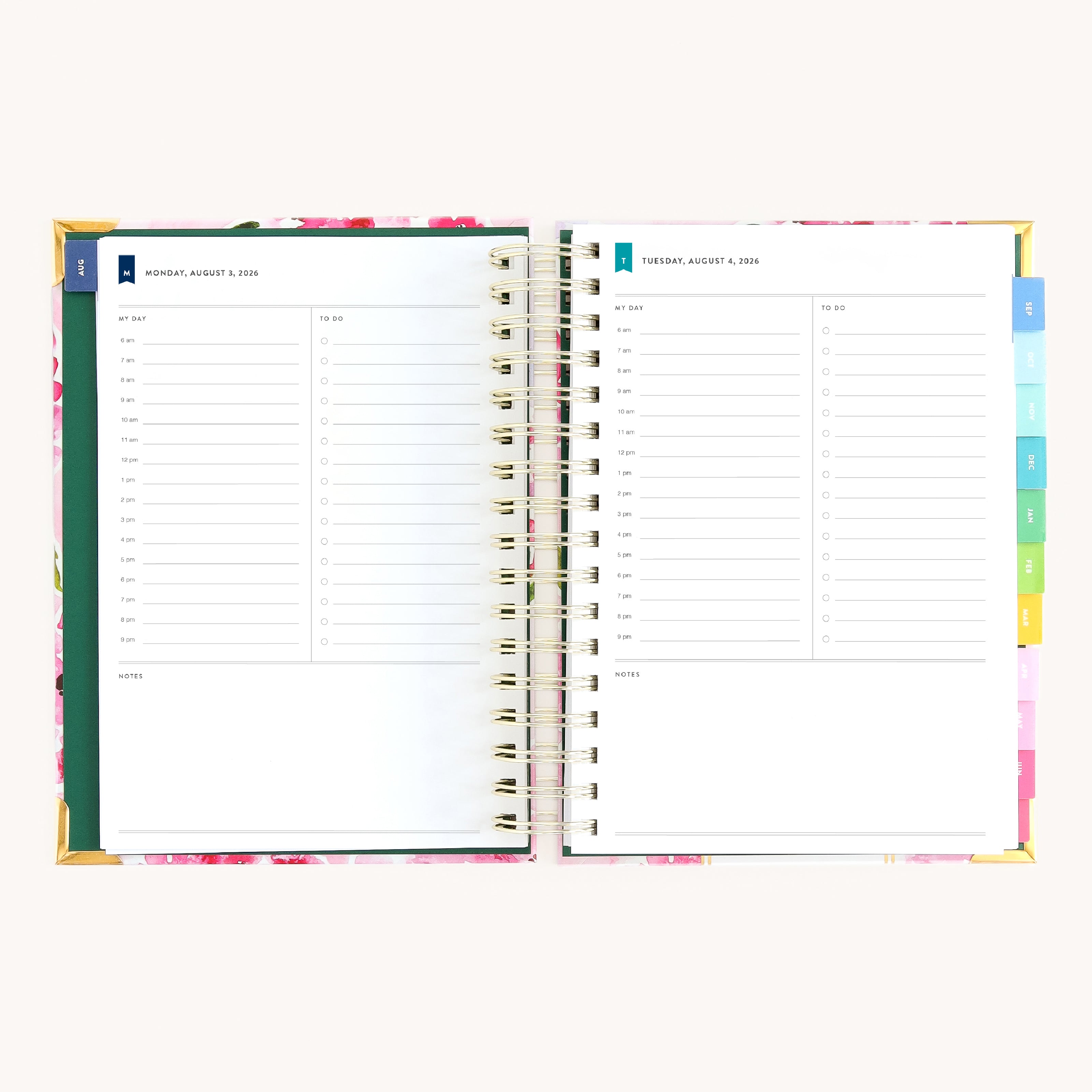 Simplified by Emily Ley planner daily pages with hourly agenda, checklist sections, and colorful monthly tabs for easy navigation