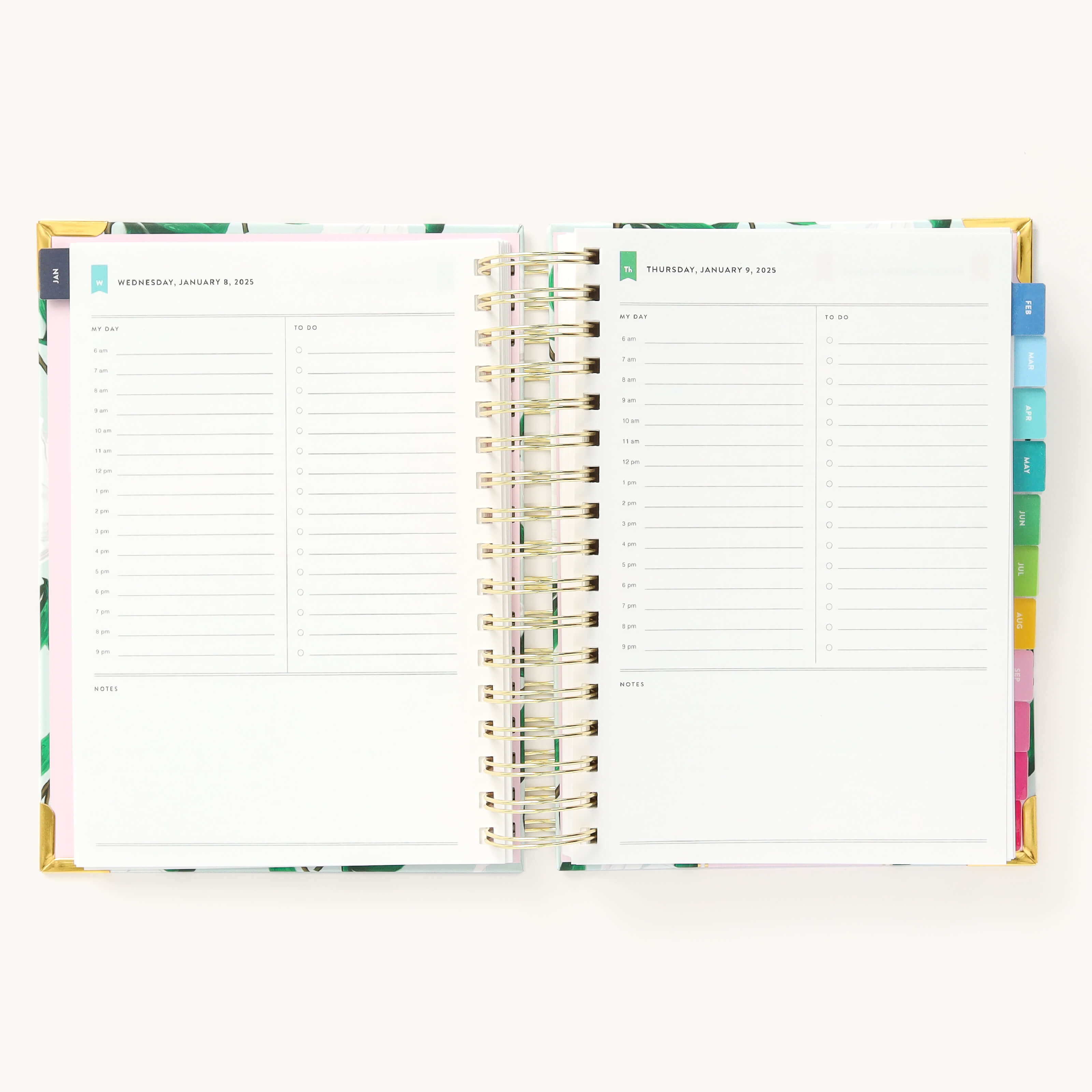 2025 Daily Simplified Planner - Savannah Blooms