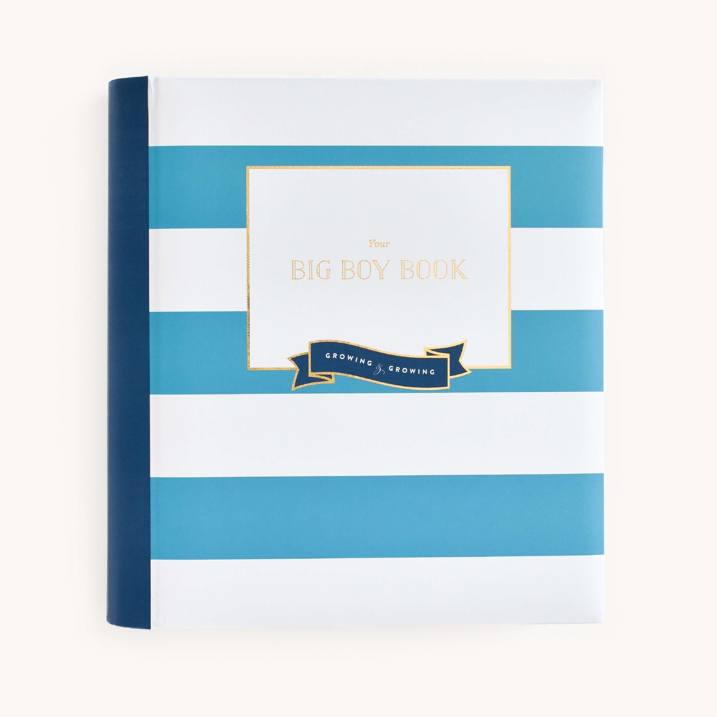 Big Kid Book Navy & Teal