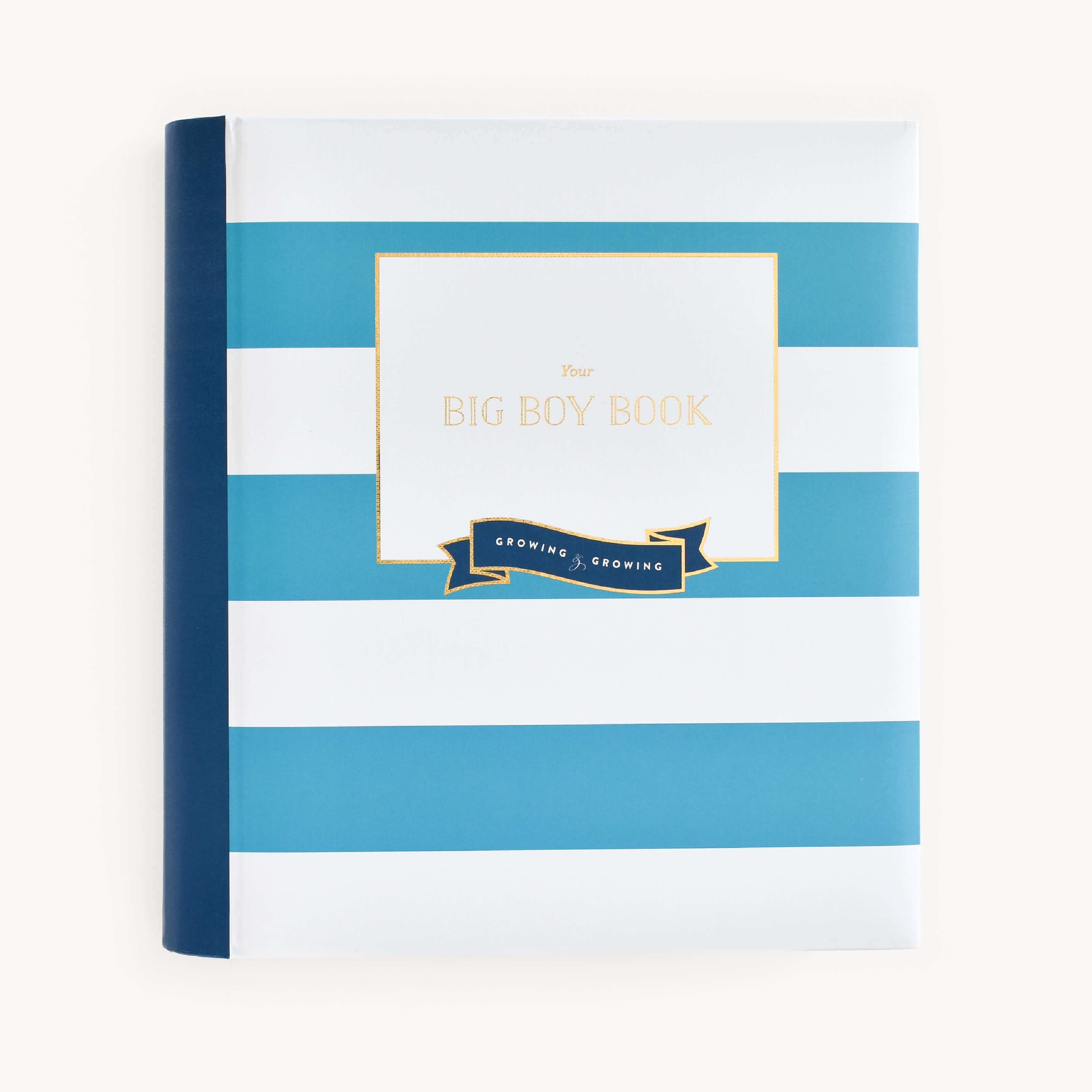 Kid　Teal　Emily　by　Big　Simplified®　Ley　Navy　Book,　The　–