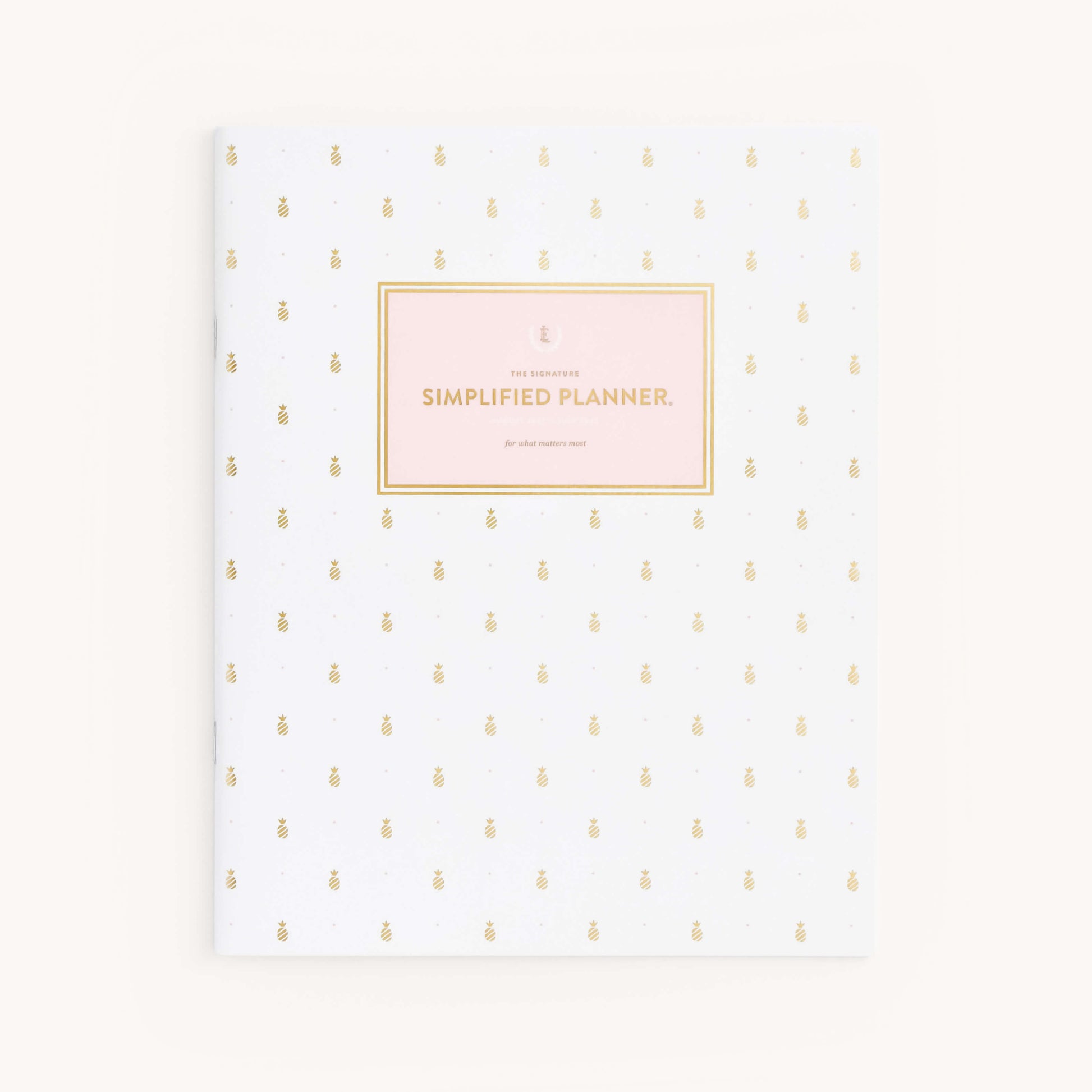 GOLD PINEAPPLES MONTHLY PLANNER COVER