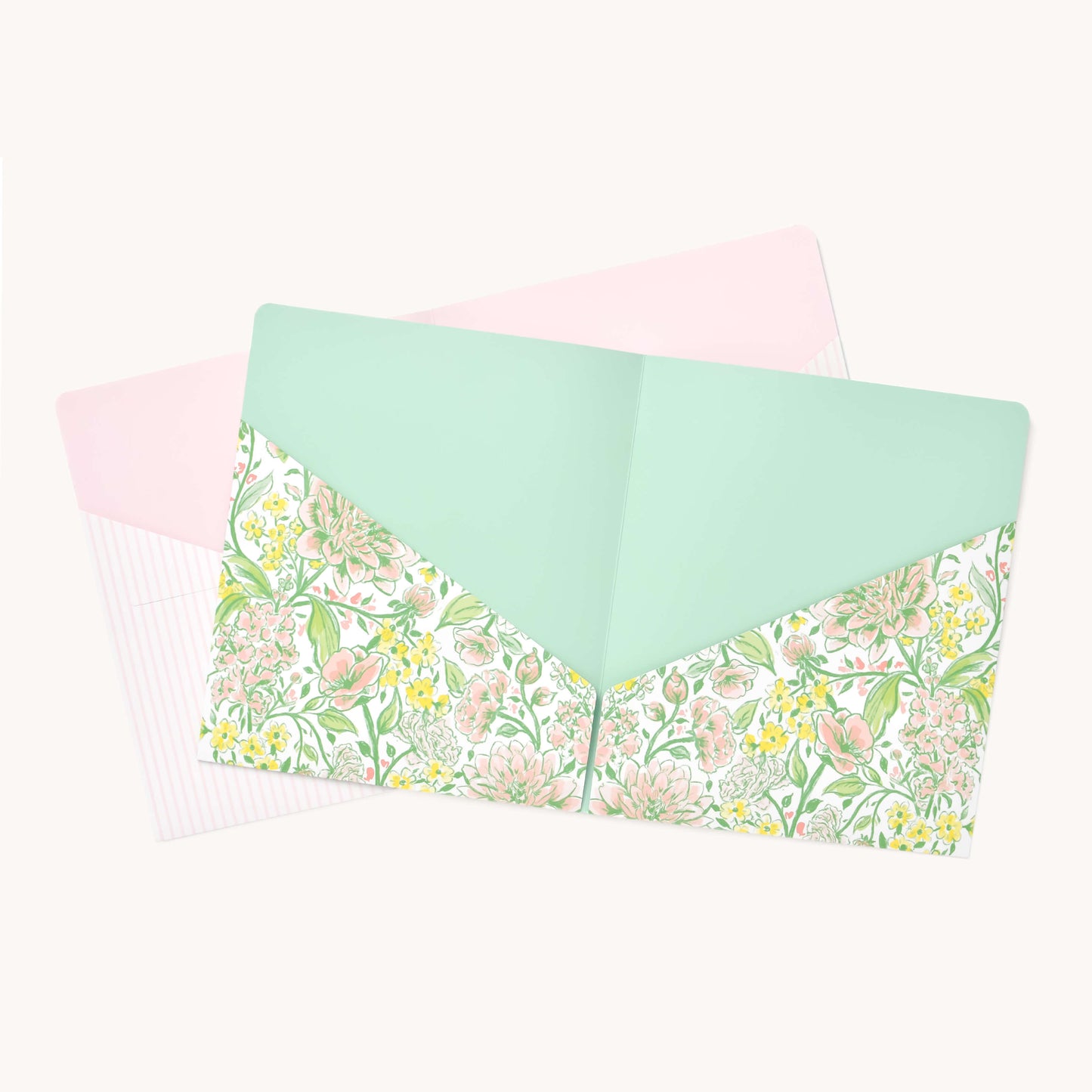 Pocket Folder Set, Butterfly Garden & Pink Pinstripe