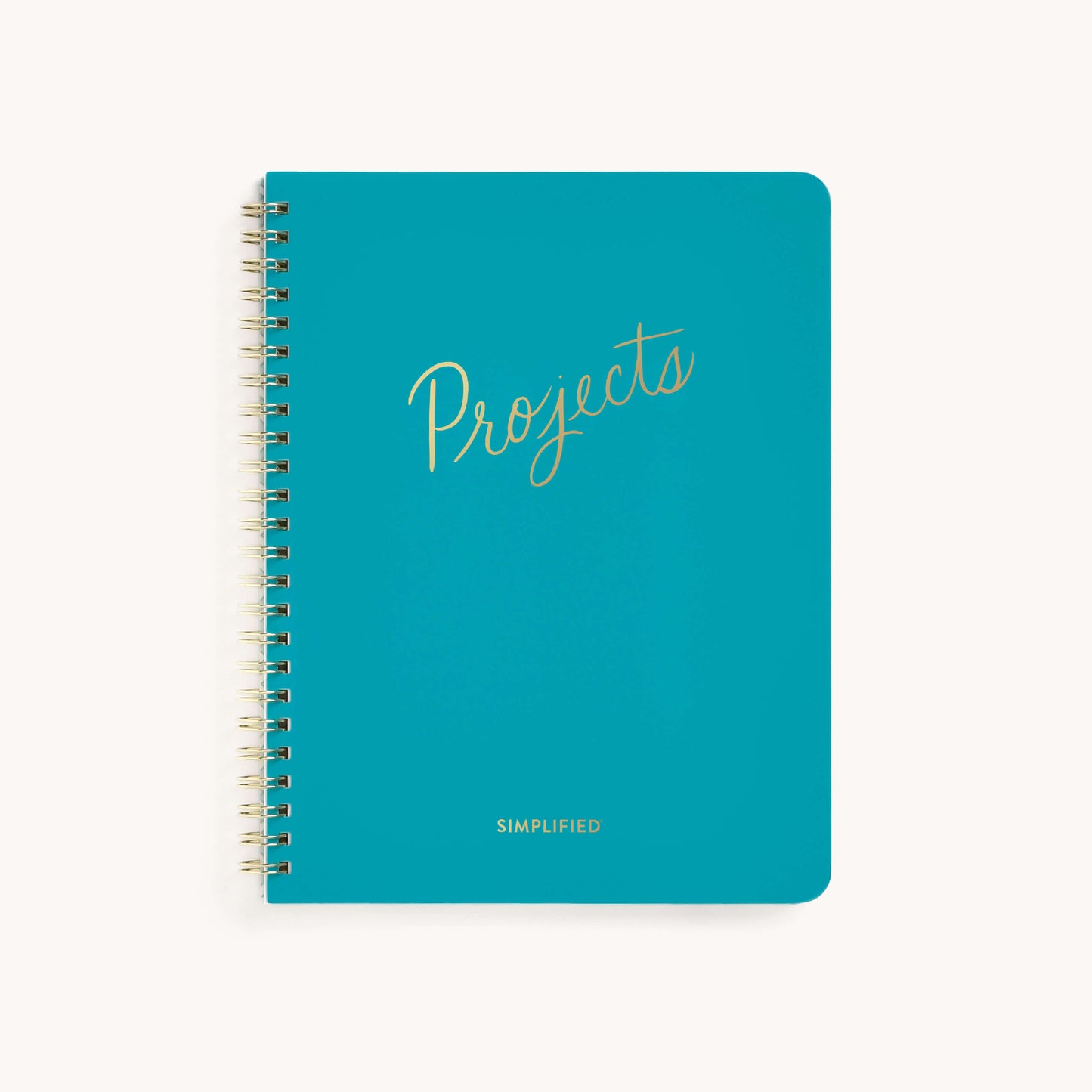 PROJECTS WORKBOOK
