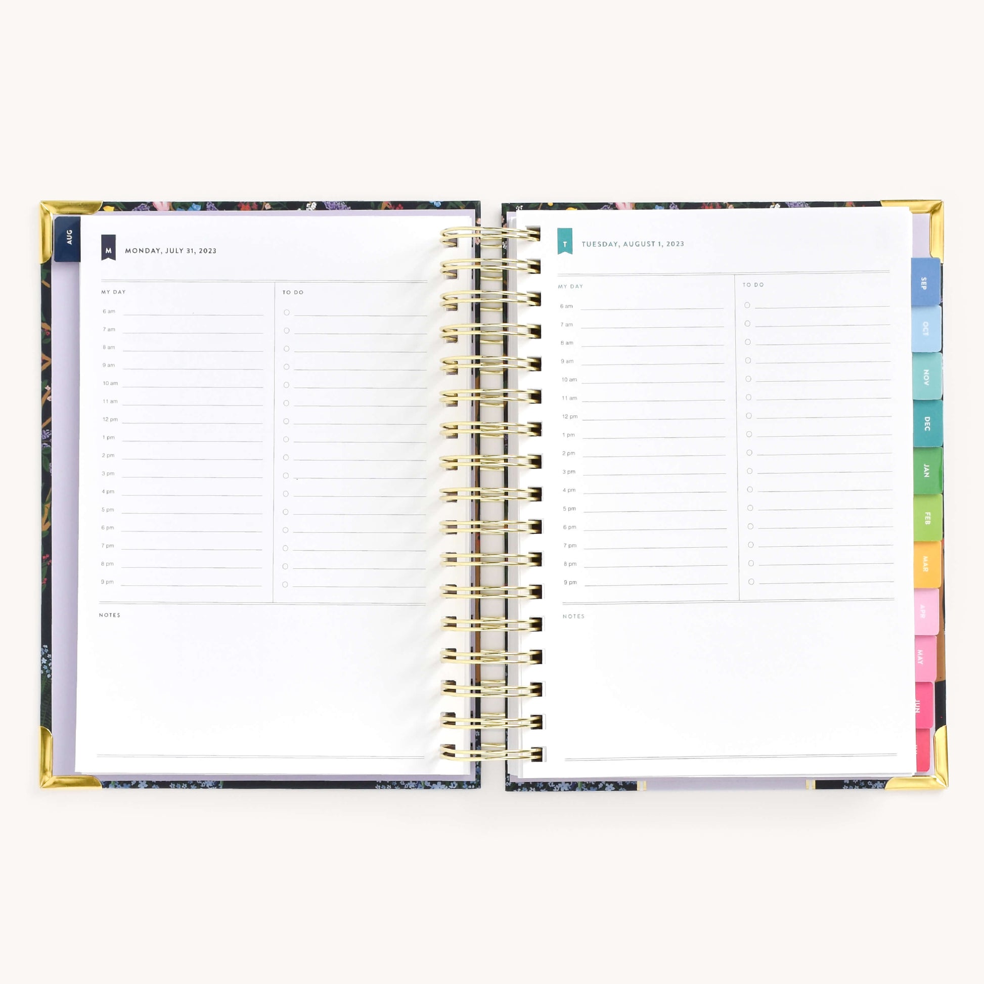 DAILY SPREADS