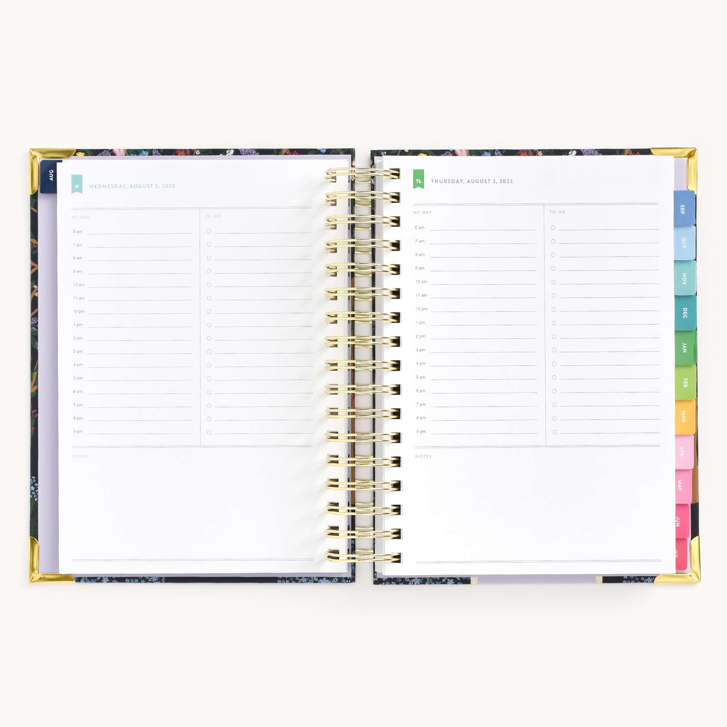 DAILY SPREADS